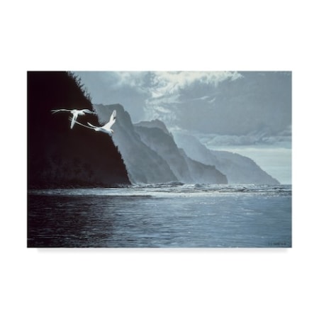 Ron Parker 'White Tailed Tropic Birds' Canvas Art,22x32